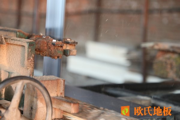 体育木地板起拱变形预防措施有哪些